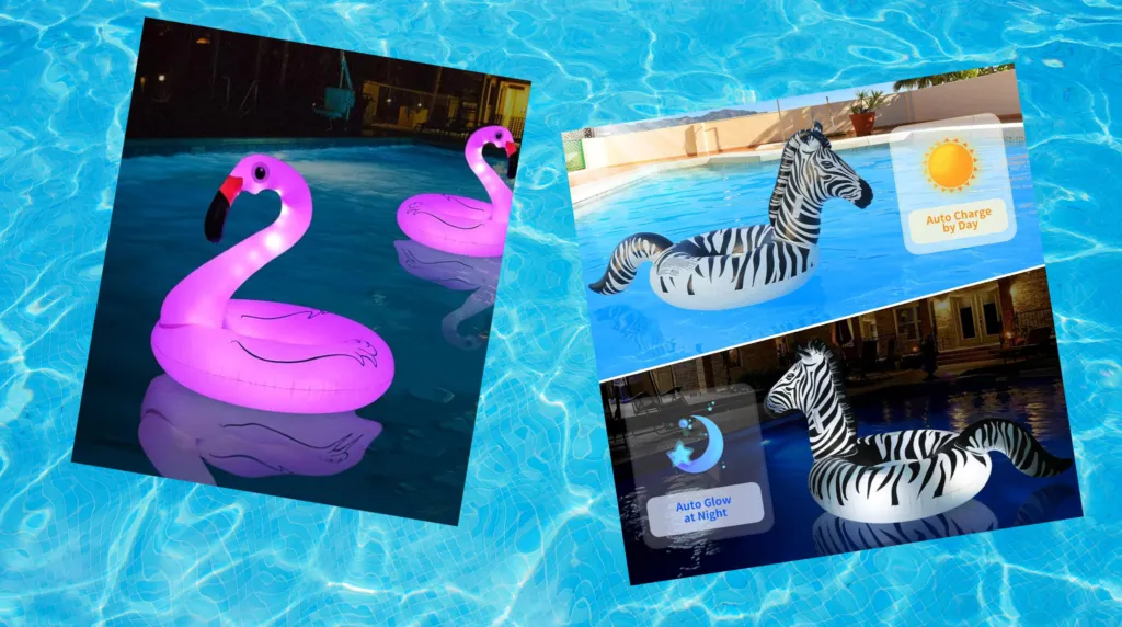 flamingo and zebra pool floats in the pool